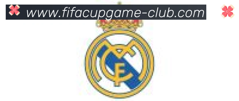 FIFA世界杯买球入口合作伙伴